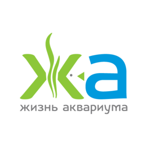 Наш YouTube-канал